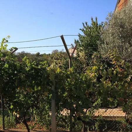 With A Parking Space - 7283 * Fazana