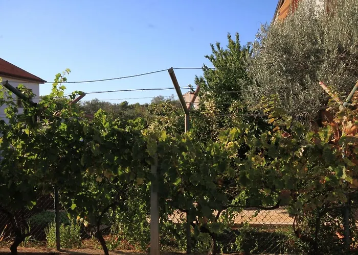 With A Parking Space - 7283 * Fazana