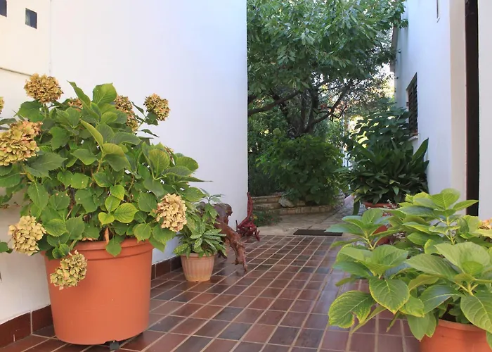 With A Parking Space - 7283 Apartman Fazana