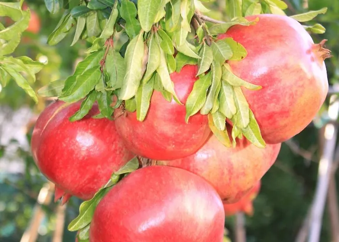 Apartman With A Parking Space - 7283